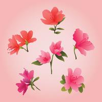 Bella Clipart dei fiori dell'azalea vettore