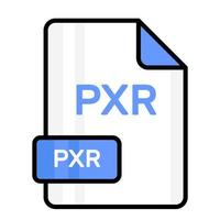 un sorprendente vettore icona di pxr file, modificabile design