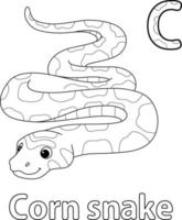 Mais serpente alfabeto abc isolato colorazione pagina c vettore