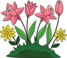 primavera tulipano fiori cartone animato colorato clipart