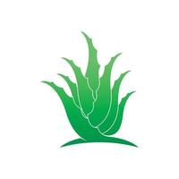 aloe Vera logo icona design simbolo bellezza vettore