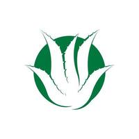 aloe Vera logo icona design simbolo bellezza vettore