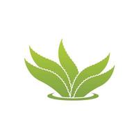 aloe Vera logo icona design simbolo bellezza vettore