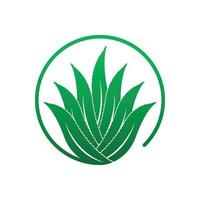 aloe Vera logo icona design simbolo bellezza vettore