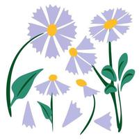 Fiore di campo colorato , retrò 70s anni 80 anni 90 botanico design floreale illustrazione di margherite.primavera fiori decorazione vettore pianta arte.