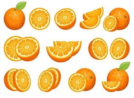 illustrazione del set di disegno vettoriale di deliziosa frutta arancione isolato su sfondo bianco