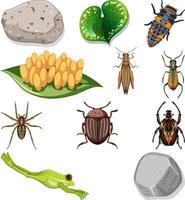 diversi tipi di insetti con elementi della natura vettore
