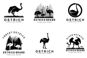 struzzo logo disegno, deserto animale illustrazione, vivente nel il foresta, vettore cammello marca Prodotto