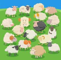 cartone animato pecora e martinetti azienda agricola animali comico personaggi gruppo vettore
