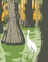 parco nazionale delle Everglades con garzetta in mangrovie e cipressi poster art vettore