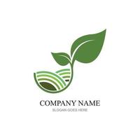 verde pianta azienda agricola vettore logo concetto
