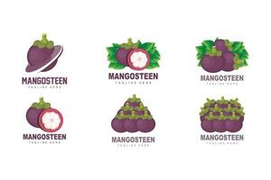 mangostano logo disegno, fresco frutta vettore per pelle Salute, frutta negozio marca illustrazione e naturale pelle medicina