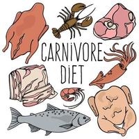 carnivoro dieta biologico salutare cibo vettore illustrazione impostato
