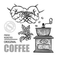 caffè macinino memorizzare design elementi vettore illustrazione impostato