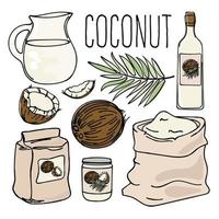 Noce di cocco vegetariano paleo dieta naturale vettore illustrazione impostato