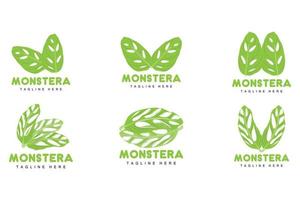 Monstera adansonii foglia logo, verde pianta vettore, albero vettore, raro foglia illustrazione vettore