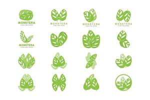 Monstera adansonii foglia logo, verde pianta vettore, albero vettore, raro foglia illustrazione vettore