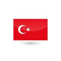 il nazionale bandiera di tacchino un' rosso bandiera con un' bianca stella e mezzaluna etichetta etichetta distintivo Turco nazionale vettore illustrazione.