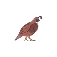 un disegno a tratteggio di una divertente quaglia della valle per l'identità del logo. concetto della mascotte dell'uccello della quaglia della california per l'icona del parco nazionale di conservazione. illustrazione vettoriale di disegno di disegno di linea continua moderna