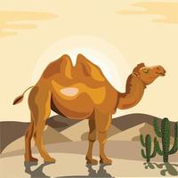 Doppio gobba cammello nel il deserto vettore illustrazione