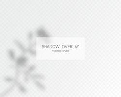 effetto di sovrapposizione delle ombre. ombre naturali isolate su trasparente vettore