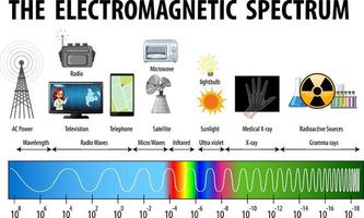 diagramma dello spettro elettromagnetico della scienza vettore