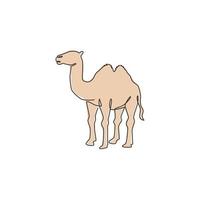 un unico disegno a tratteggio del cammello arabo del deserto per l'identità del logo. simpatico animale mammifero concetto per icona di allevamento di bestiame. illustrazione vettoriale grafica di disegno di disegno di linea continua alla moda