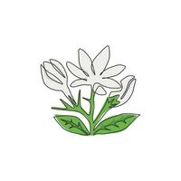 un unico disegno a tratteggio di un fiore di gelsomino sempreverde fresco di bellezza per il logo del giardino. poster decorativo stampabile jasminum per la decorazione della parete di casa. illustrazione vettoriale di disegno di disegno di linea continua moderna