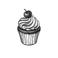 Cupcake con ciliegia. inchiostro schizzo isolato su bianca sfondo. mano disegnato vettore illustrazione. retrò stile.