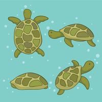 Vettore disegnato a mano delle tartarughe marine