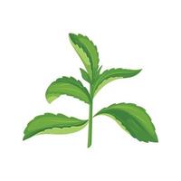 Stevia dieta cartone animato vettore illustrazione