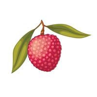 lychee cibo cartone animato vettore illustrazione