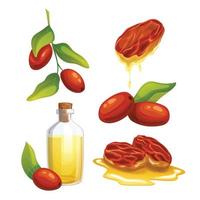 jojoba naturale olio impostato cartone animato vettore illustrazione