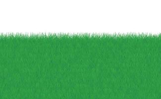 verde erba confine su isolato bianca sfondo vettore illustrazione