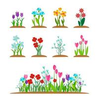 presto primavera giardino fiorire fiori, erba isolato su bianca. primavera natura pianta impostare. semplice giardino fiore mazzo nel estate volta. vettore illustrazione