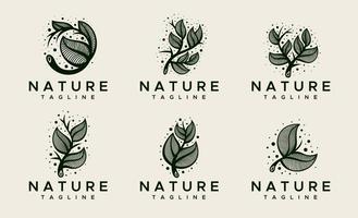 decorativo naturale foglia logo design modello. verde floreale le foglie logo vettore impostare.