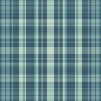 tartan plaid con notte colore modello. vettore