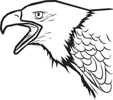 aquila testa linea disegno. vettore