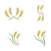 immagini del logo di grano vettore