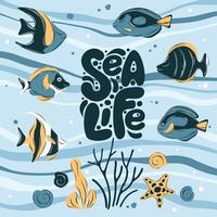 pesce e marino animali nel oceano. design lettering mare vita. impostato di marino vita oggetti per il tuo design. piatto cartone animato vettore illustrazione.