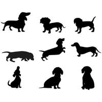 bassotto icona vettore impostare. cane illustrazione cartello collezione. casa animale domestico simbolo o logo.