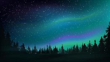 pineta, cielo stellato e aurora boreale. paesaggio notturno con bel cielo. illustrazione vettoriale. vettore