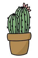 vettore illustrazione di un' luminosa cactus. piatto, carino