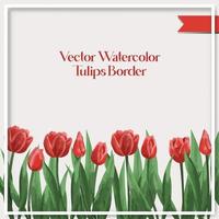 vettore acquerello tulipani confine collezione