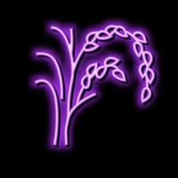 riso pianta salutare neon splendore icona illustrazione vettore