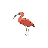 un disegno a linea continua di ibis carino per l'identità del logo aziendale. concetto di mascotte trampoliere a gambe lunghe per l'icona dello zoo nazionale. illustrazione grafica vettoriale di design moderno a linea singola
