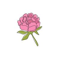 un disegno a tratteggio continuo di bellezza fresca pianta perenne decorazione della parete casa arte poster stampa. fiore di peonia decorativo stampabile per l'icona del parco verde. illustrazione vettoriale di design moderno a linea singola