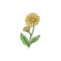 un disegno a linea continua di bellezza fresca calendula per la stampa di poster di arte della parete della decorazione della casa. concetto di fiore di calendula decorativo stampabile. illustrazione vettoriale grafica di disegno di disegno a linea singola moderna