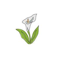 un disegno a linea continua di giglio di arum fresco di bellezza per il logo del giardino. concetto di fiore di zantedeschia decorativo stampabile per poster di decorazione della parete di casa. illustrazione vettoriale di design moderno a linea singola