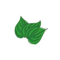 un disegno a tratteggio di una foglia di betel organica sana per l'identità del logo dell'azienda agricola. concetto di utilità del deodorante per la bocca per l'icona della pianta. illustrazione grafica vettoriale di disegno di disegno di linea continua moderna